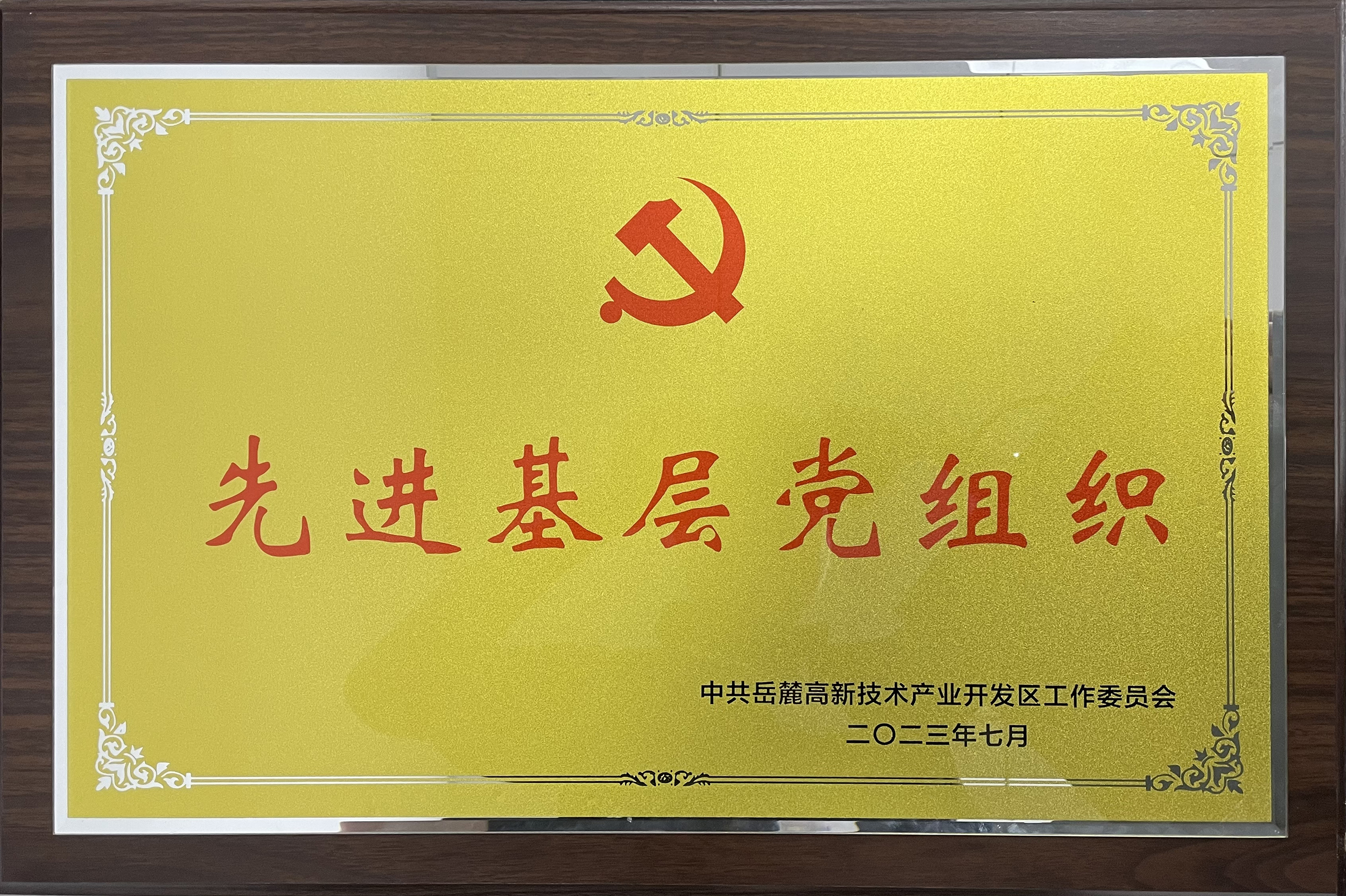 2023年7月，，，，，，智谷集团党委获岳麓高新区党工委“先进下层党组织”称呼。。。。。。。